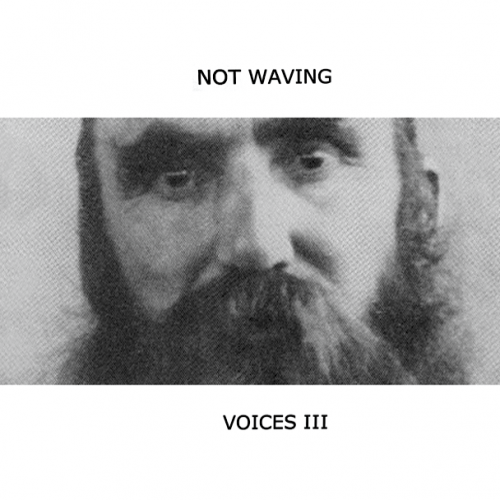 Not Waving – Voices III