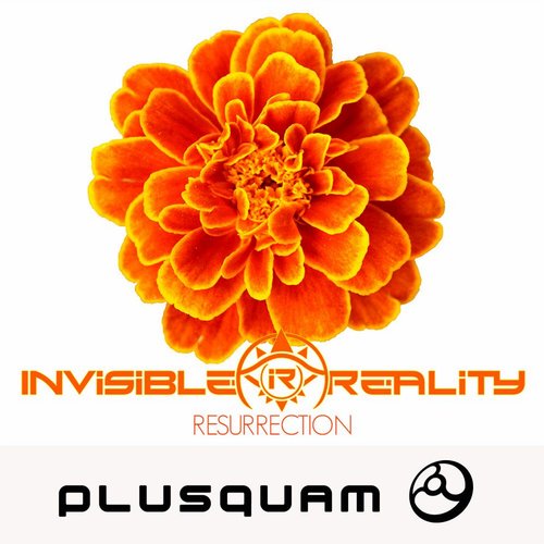 Invisible Reality – Resurrection