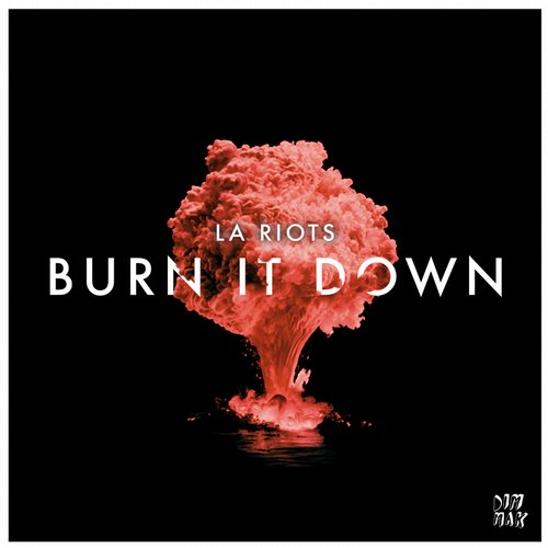 LA Riots – Burn It Down