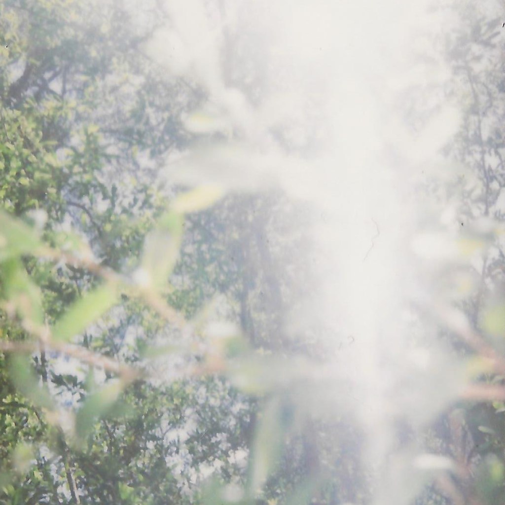 Lux Natura – Howqua