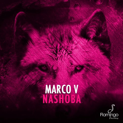 Marco V – Nashoba