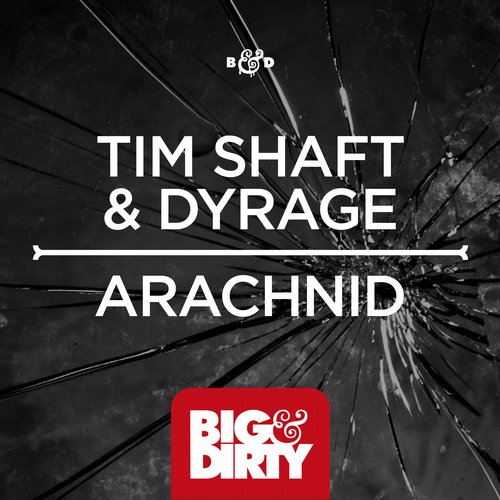 Tim Shaft & Dyrage – Arachnid