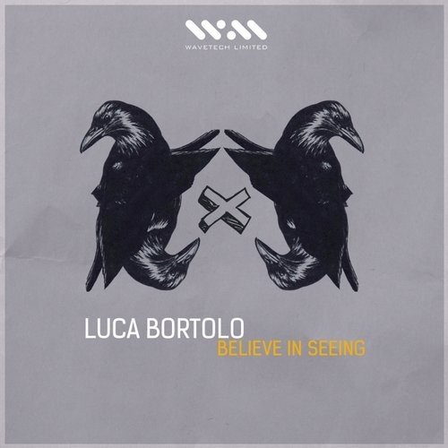 Luca Bortolo – Believe In Seeing