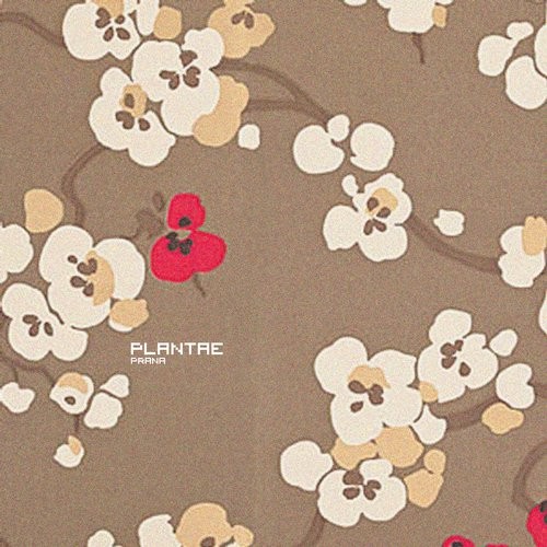 Plantae – Prana EP