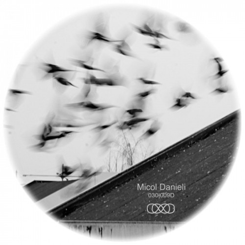 Micol Danieli – 030 009D