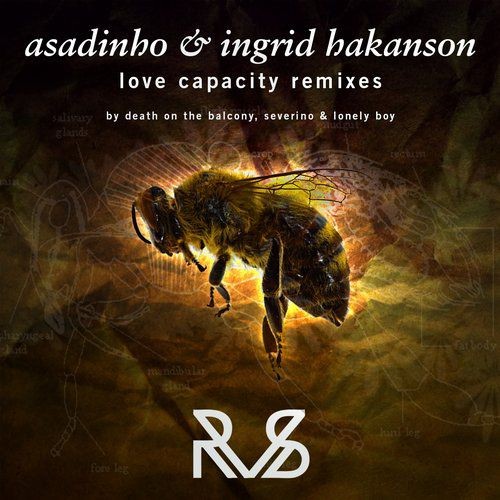 Asadinho & Ingrid Hakanson – Love Capacity (remixes)