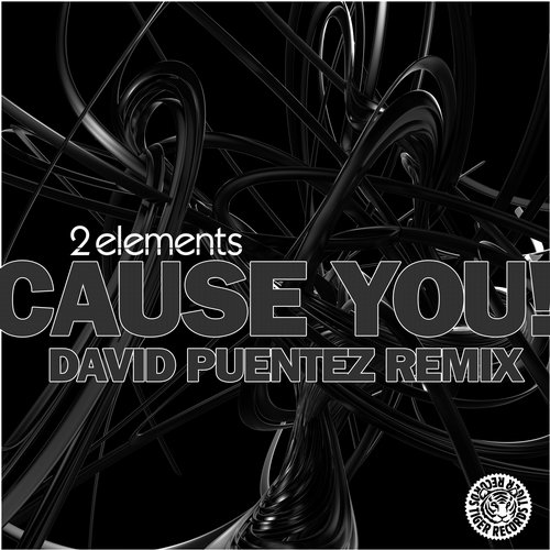 2Elements – Cause You! (David Puentez Remix)