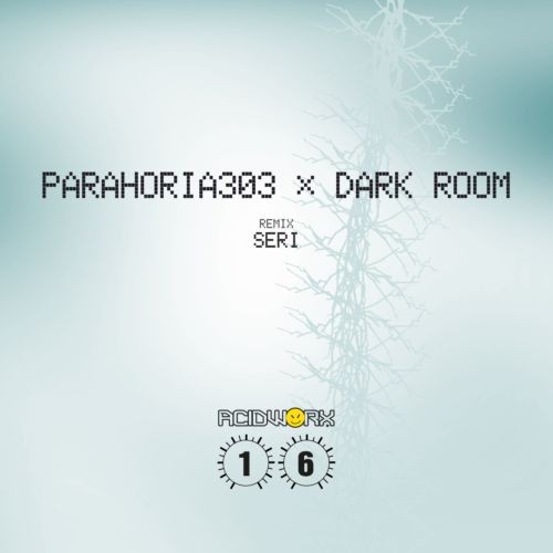 Parahoria303 – Dark Room