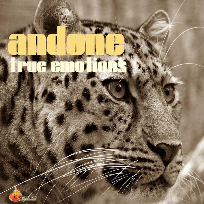 Andone – True Emotions