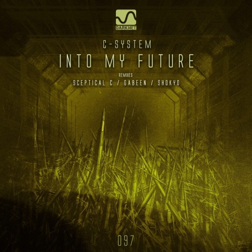 C System – Into My Future