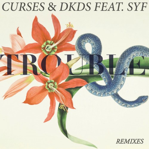 curses & dkds – Trouble feat. SYF (remixes)