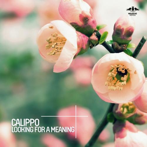 Calippo – Looking For A Meaning