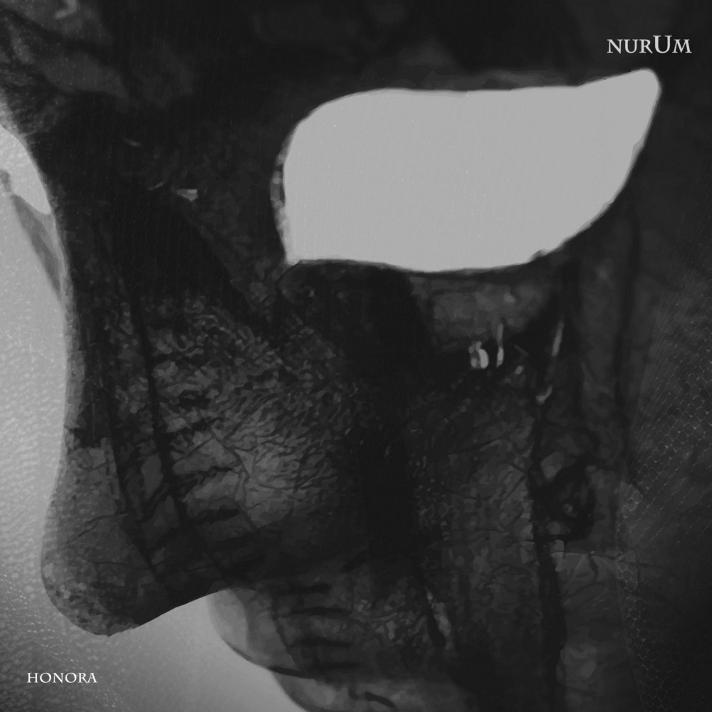 Themusicfire