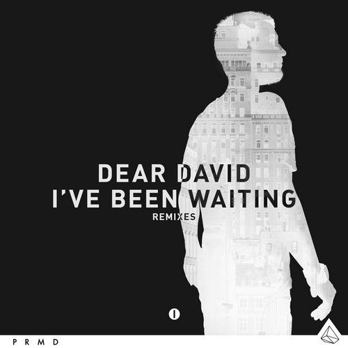 Dear David – I’ve Been Waiting (The Remixes)