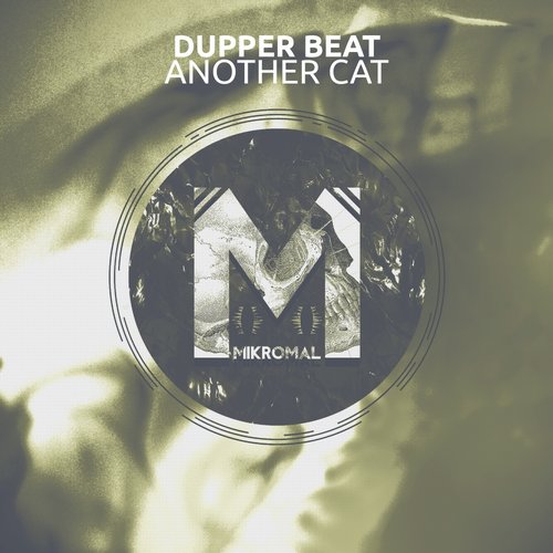 Dupper Beat – Another Cat