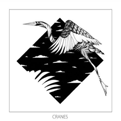 Monkey Safari – Cranes