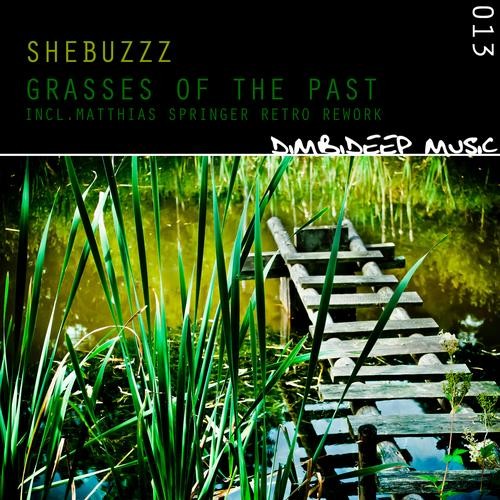 Shebuzzz – Grasses Of The Past