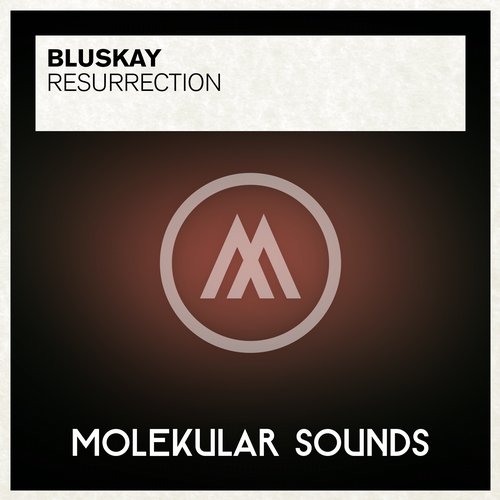 BluSkay – Resurrection