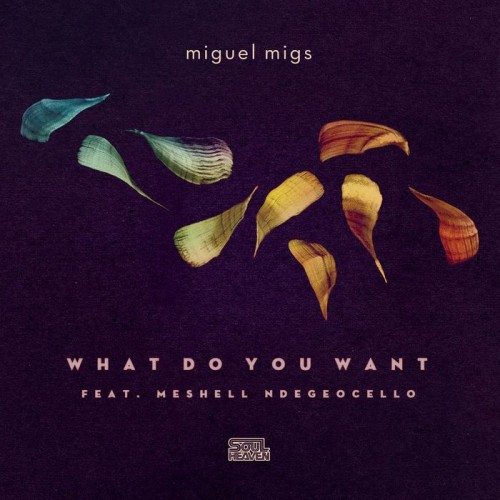 Miguel Migs – What Do You Want