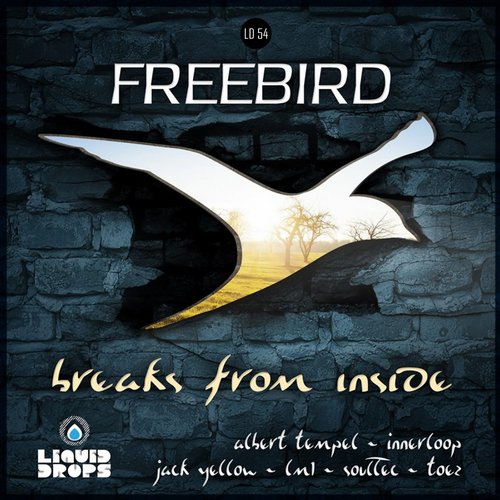 Freebird – Breaks From Inside LP
