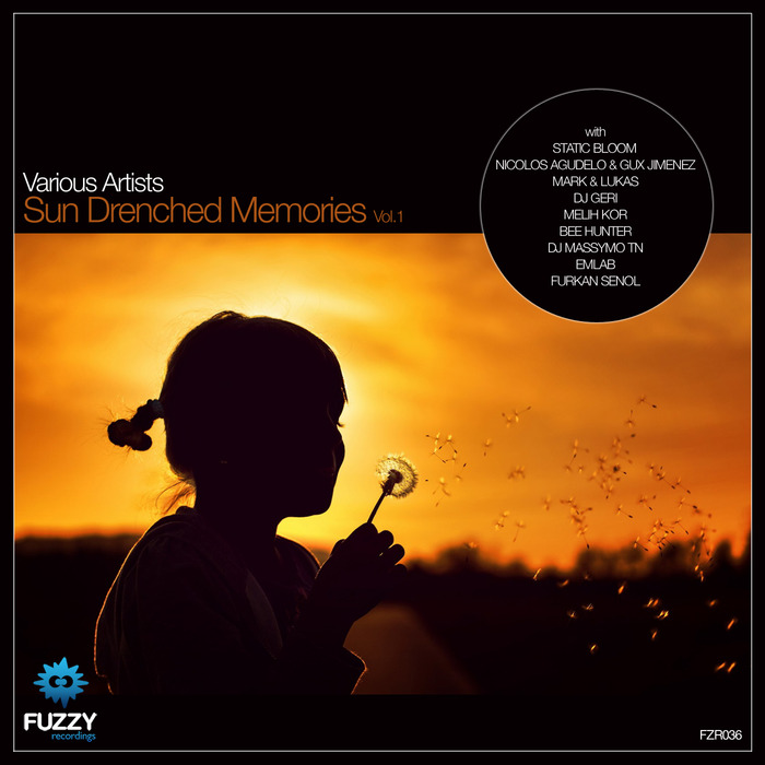 Fuzzy Recordings: Sun Drenched Memories Vol 1