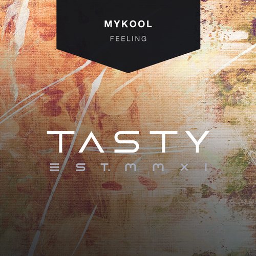Mykool – Feeling