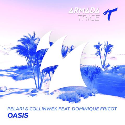 Pelari & CollinWex feat. Dominique Fricot – Oasis