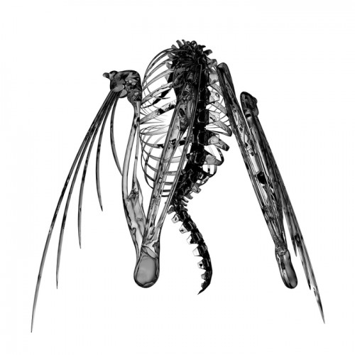 Lotic – Heterocetera