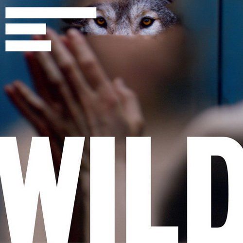 Terranova & Gui Boratto & Michael Mayer – Wild Soundtrack