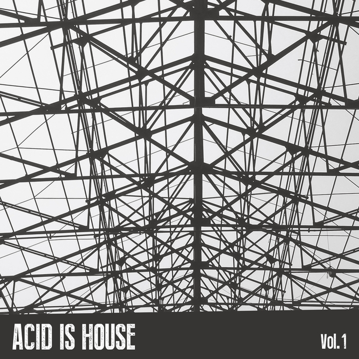 Acid Is House Vol 1