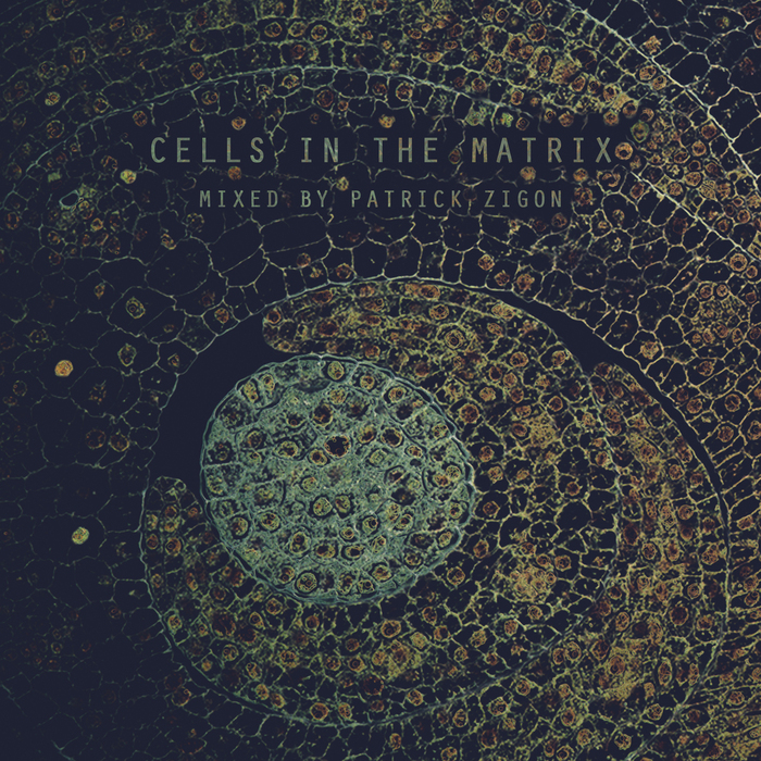 Cells In The Matrix – Mixed By Patrick Zigon