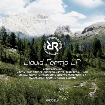 Reformed Recordings: Liquid Forms LP