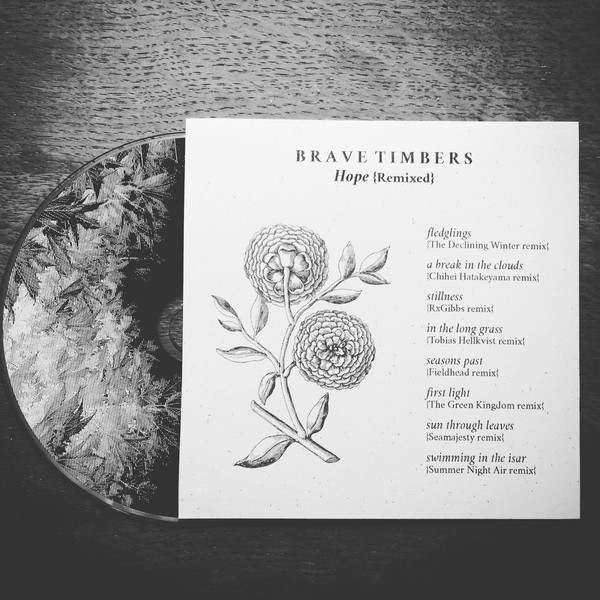 Brave Timbers – Hope (Remixed)