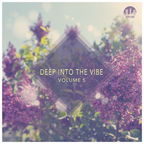 Deep Into The Vibe Vol 5