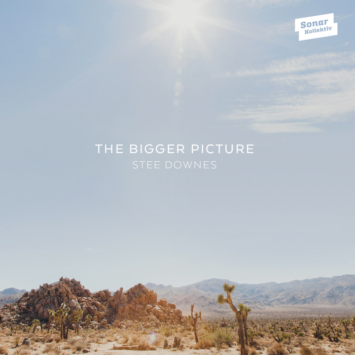 Stee Downes – The Bigger Picture