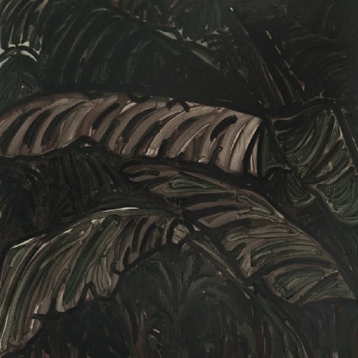 Acronym – Entagled In Vines