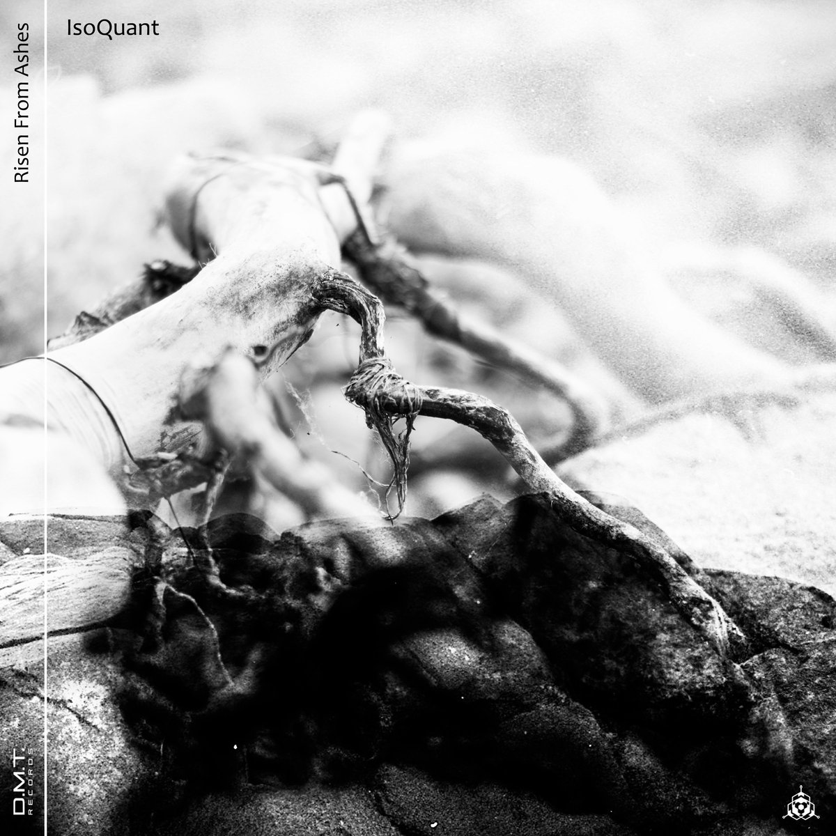 IsoQuant – Risen From Ashes
