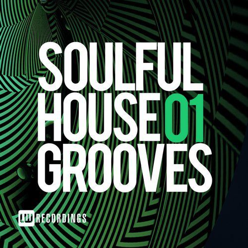 Soulful House Grooves Vol 01