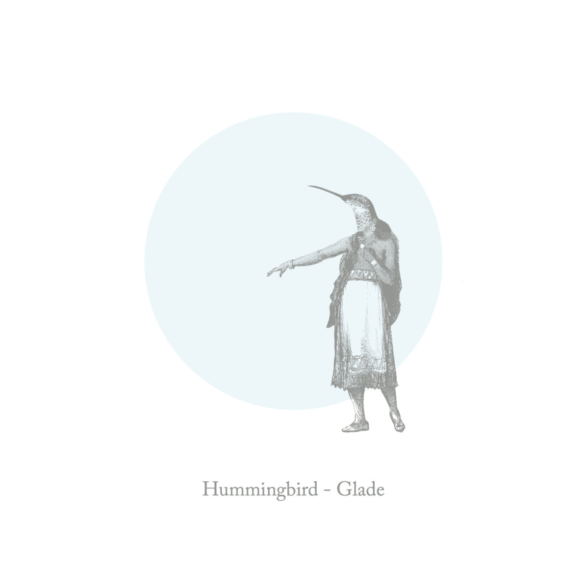 Hummingbird – Glade