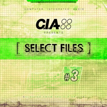 Computer Integrated Audio – Select Files 3