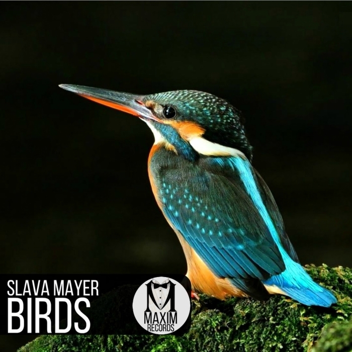 Slava Mayer – Birds