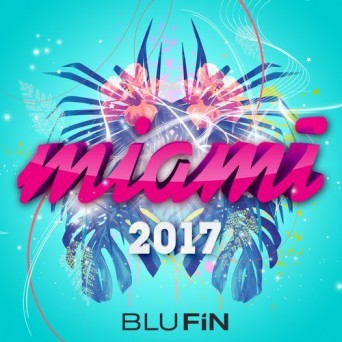 BluFin: Miami 2017