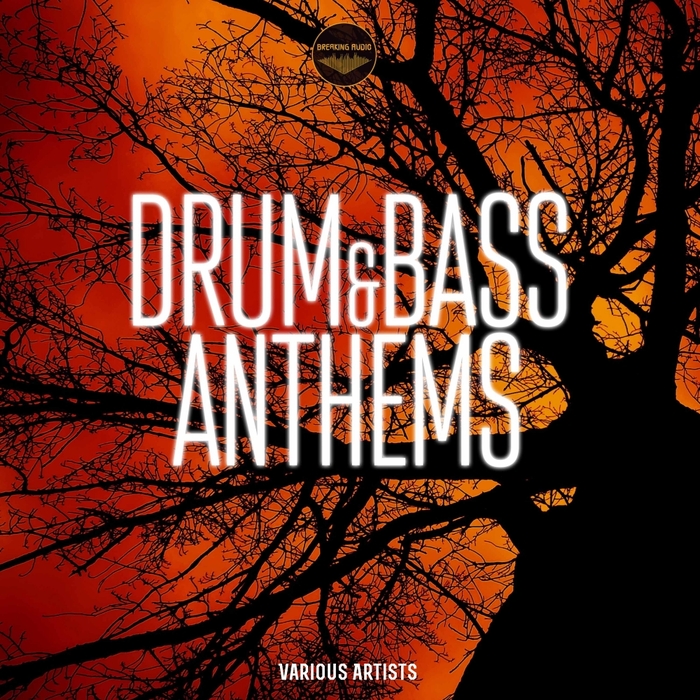 Drum & Bass Anthems