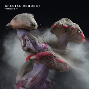 Special Request – Fabriclive 91