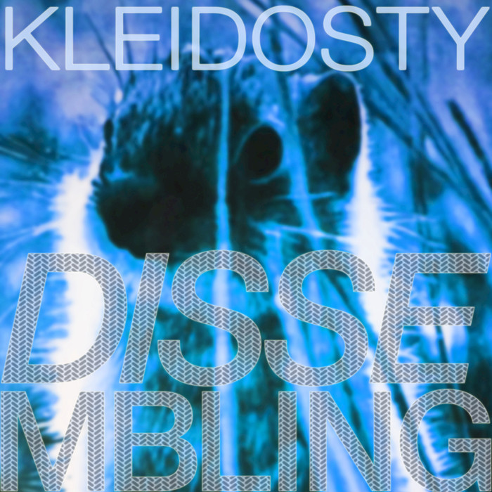 Kleidosty – Dissembling