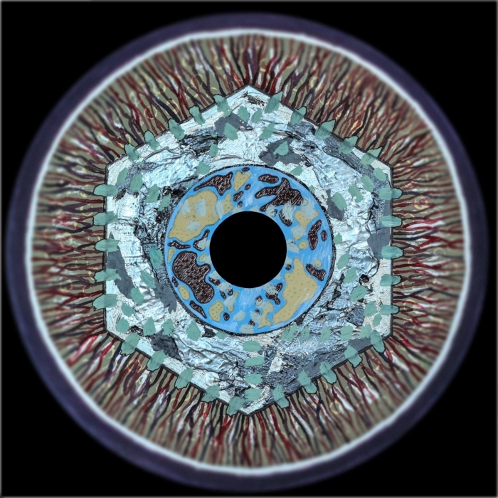 Cikkun – Gamut