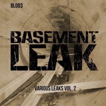 Basement Leak: Various Leaks, Vol. 2