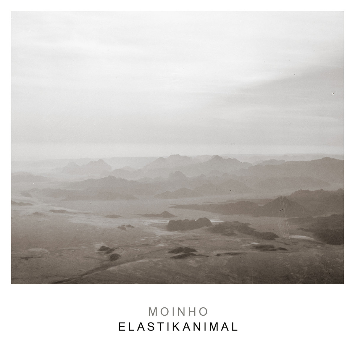 Moinho – Elastikanimal