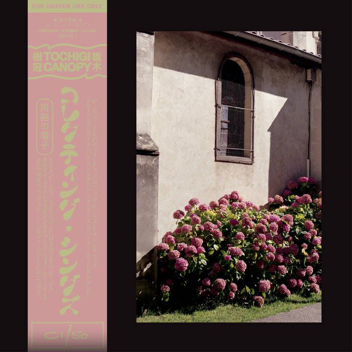 Tochigi Canopy – Collecting Things LP