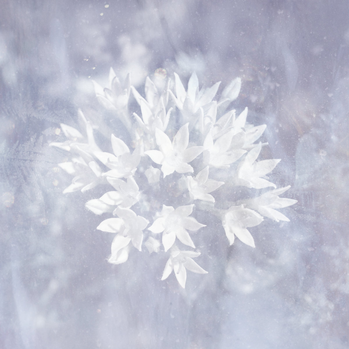 poemme – Soft Ice